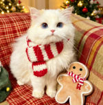 Festive Pattern Cat Knit Scarf
