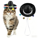 Plush Cat Wide-Brim Fisherman Hat