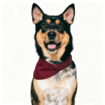 Canvas Neckerchief-Burgundy