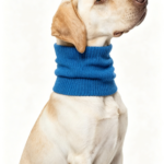 Waterproof Dog Windproof Neck Gaiter