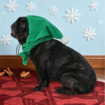 Fleece Lined Dog Winter Scarf - Image 3