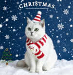 Festive Pattern Cat Knit Scarf - Image 3