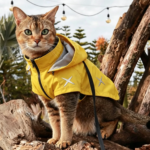 Space X coat Yellow - Image 3