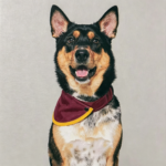 Canvas Neckerchief-Burgundy - Image 3